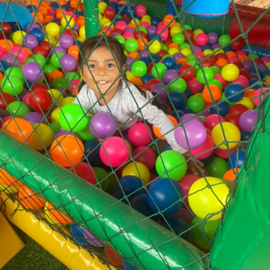 WhatsApp Image 2025-01-03 at 6.00.14 PM